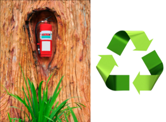 ecologie extincteur arbre recyclage environnement protection vert